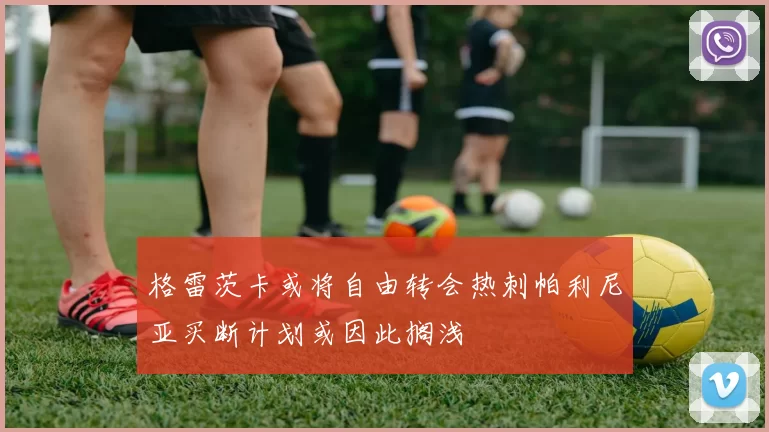 格雷茨卡或将自由转会热刺帕利尼亚买断计划或因此搁浅